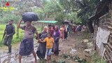 မောင်တောမြို့နယ်က ရိုဟင်ဂျာတွေကို AA ကယ်ထုတ်