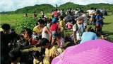 maungtaw-refugees-622.jpg