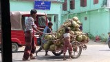 မောင်တောက ရိုဟင်ဂျာတစ်သောင်းကျော် အကူအညီလိုအပ်