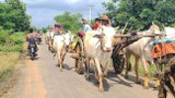 စစ်ကောင်စီ တိုက်ခိုက်မှုကြောင့် နိုဝင်ဘာလအတွင်း အမျိုးသမီးခြောက်ဆယ်ကျော် သေဆုံး