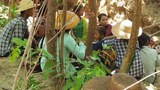 ကနီတိုက်ပွဲ စစ်ကောင်စီဘက်က ၆၀ လောက် ထိခိုက်ကျဆုံး