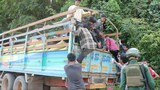 စစ်သုံ့ပန်း မိသားစုဝင် ၃၁ ဦးကို MNDAA ပြန်လွှတ်ပေး