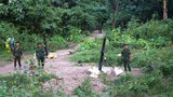 သြဂုတ်လအတွင်း စစ်ကောင်စီဘက်က ၁၀၀ ကျော်သေတယ်လို့ KNLA တပ်မဟာ (၅) ထုတ်ပြန်
