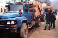 uwsa_timber_200px.jpg uwsa_timber_200px.jpg