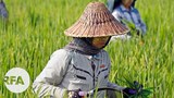 farmer-622.jpg