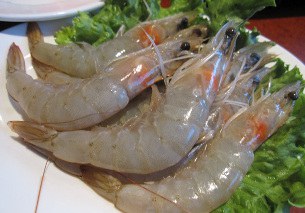 prawn-305.jpg prawn-305.jpg