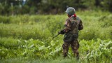 rakhine-soldiers-622.jpg