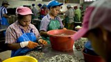 myanmar-workers-in-thai-622.jpg