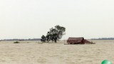 rakhine-flooding-620.jpg