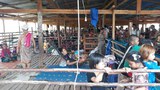မြဝတီမှာ တိုက်ပွဲကြောင့် ဒုက္ခသည် ၃၀၀၀ ခန့်ရှိလာ
