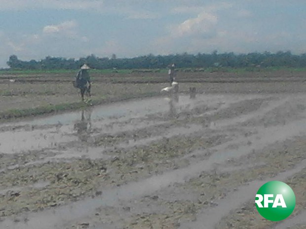 rakhine-lands-620.jpg rakhine-lands-620.jpg