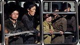 n_korean_bus_305px.jpg