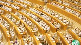 parliament-305.jpg