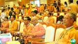 nld-mp-620.jpeg
