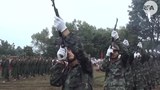 nmsp-620.jpg