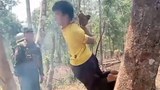 အရပ်သားတစ်ဦးကို SSPP တပ်ဖွဲ့က မီးမြှိုက်ပြီးနှိပ်စက်မှု ဝေဖန်ခံနေရ