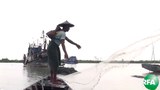 fisherman-620.jpg