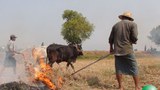 mattayar-farmers-protest-305