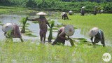 farmers-622.JPG