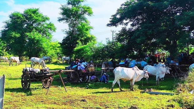 ပုလဲမြို့နယ်မှာ စစ်ကြောင်းဝင်လာလို့ ဒေသခံတစ်သောင်းခွဲကျော် ထွက်ပြေးနေရ ပုလဲမြို့နယ်မှာ စစ်ကြောင်းဝင်လာလို့ ဒေသခံတစ်သောင်းခွဲကျော် ထွက်ပြေးနေရ