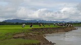 butheetaung-refugees-flee-622.jpg
