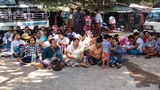 panda-protest-622.jpg