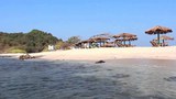 pearl-island-622.jpg