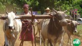 farmers-620.jpg