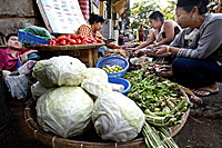 vendor_200px.jpg vendor_200px.jpg