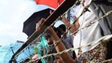 political_prisoner_305.jpg