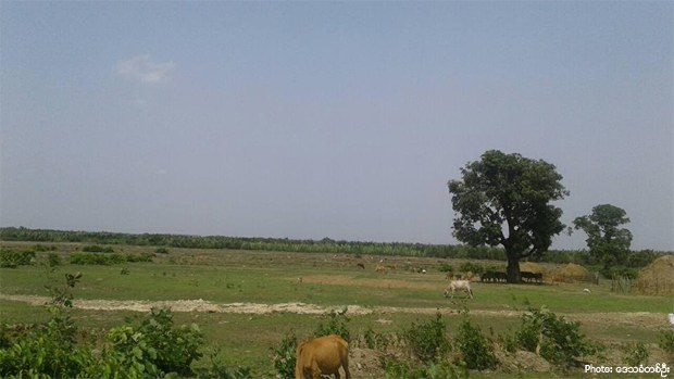 poaknarkyun-land-620.jpg poaknarkyun-land-620.jpg