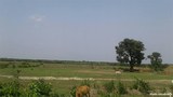 poaknarkyun-land-620.jpg