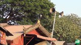 loudspeaker-620.JPG