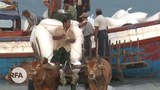 rakhine-622.jpg