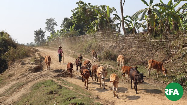 မြောက်ဦးမှာ လက်နက်စမ်းသပ်ဖို့အတွက် တောတောင်တွေကိုမသွားဖို့ ကျေးရွာအုပ်စု သုံးခုကို ညွှန်ကြားထား မြောက်ဦးမှာ လက်နက်စမ်းသပ်ဖို့အတွက် တောတောင်တွေကိုမသွားဖို့ ကျေးရွာအုပ်စု သုံးခုကို ညွှန်ကြားထား