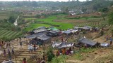rohingya-refugees-622.jpg
