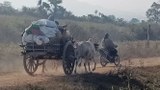 ကောလင်း ကုက္ကိုလ်ကုန်းရွာသား ၄၀၀ ကျော် စစ်ကောင်စီတပ်ကြောင့် ထွက်ပြေးနေရ