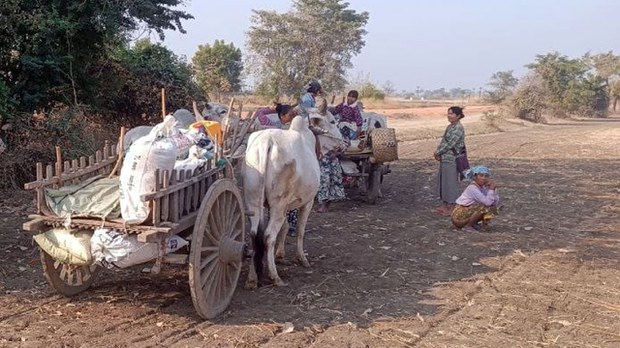 ပုလဲမြို့နယ်မှာ ဒေသခံခြောက်ထောင်နီးပါး အိုးအိမ်စွန့်ခွာထွက်ပြေးရ ပုလဲမြို့နယ်မှာ ဒေသခံခြောက်ထောင်နီးပါး အိုးအိမ်စွန့်ခွာထွက်ပြေးရ