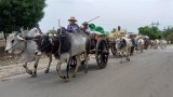 နယ်မြေရှင်းလင်းရေးကြောင့် ကန့်ဘလူ ဒေသခံနှစ်သောင်းကျော်ထွက်ပြေးရ