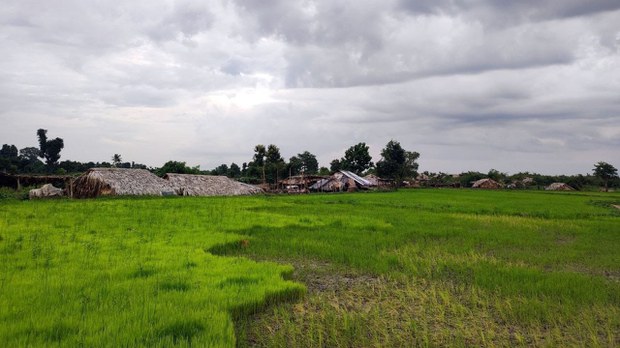 ကန့်ဘလူမှာ စစ်ကြောင်းဝင်တာ သုံးရက်ရှိလာပြီး ထွက်ပြေးရသူ တစ်သောင်းနီးပါးရှိလာ ကန့်ဘလူမှာ စစ်ကြောင်းဝင်တာ သုံးရက်ရှိလာပြီး ထွက်ပြေးရသူ တစ်သောင်းနီးပါးရှိလာ