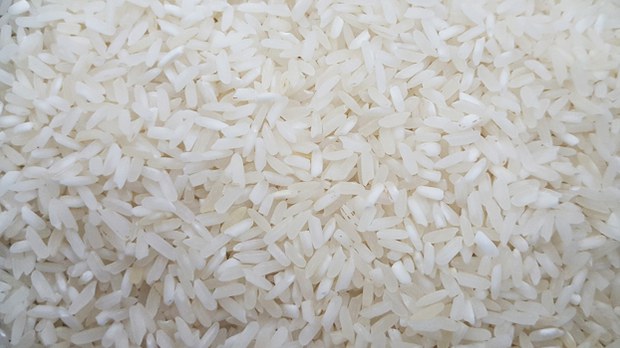 myanmar-rice-622.jpg
