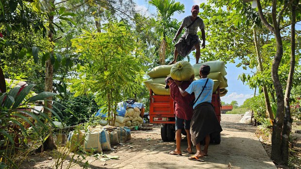အခြေခံစပါးရည်ညွှန်းဈေး ပြင်ပပေါက်ဈေးထက် နှစ်ဆခန့် လျော့နည်း