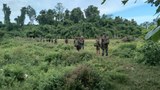 ရွှေကူမြို့နယ်က စစ်ကောင်စီ စခန်းနှစ်ခုကို သိမ်းပိုက်ခဲ့ကြောင်း KIA ပြော