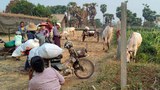 ယင်းမာပင်မှာ အသက်မပြည့်သေးသူ သုံးဦး အပါအဝင် ခြောက်ဦး သတ်ဖြတ်ခံရ