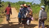 ကန့်ဘလူမှာ စစ်ဘေးရှောင်ရင်း မြွေကိုက်ခံရသူ လေးဆယ်ကျော်ရှိလာ