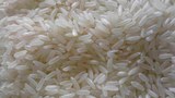 rice-620.jpg