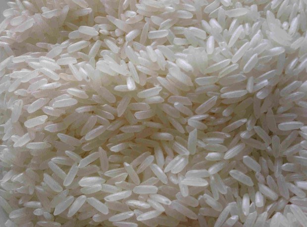 rice-620.jpg rice-620.jpg