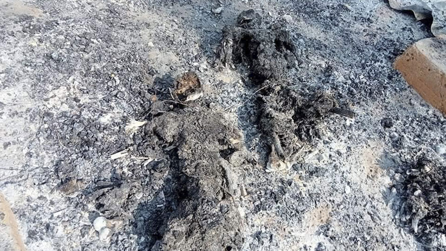 burned07.jpg