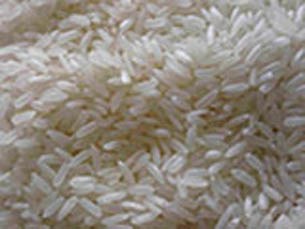 myanmar-rice-305 myanmar-rice-305