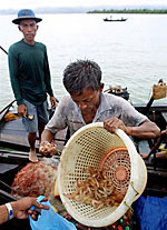 fishermen_150px.jpg fishermen_150px.jpg